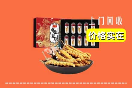 和龙市回收虫草